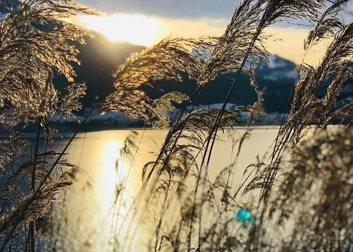 Appartement Wolfgangsee Seeblickplatzl 220 - Mit Tollem Seeblick!